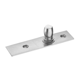 Stainless Steel Top Pivot